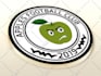 design an awesome rounded or circle soccer badge logo