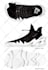 make a footwear, shoes, sneakers design for you