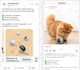 set up facebook and instagram ads for leads and sales
