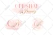 design elegant signature logo branding kit
