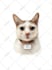 draw realistic color pencil pet portrait, pet sketch
