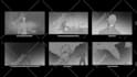 make a storyboard of your scene