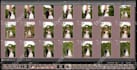 cull your wedding, event, portrait batch photos in lightroom