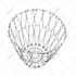 draw line drawing of any image, product, sketch, diagram