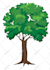 create custom vector and educational clip arts line drawings