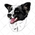 draw your pet into a cartoon vector simple in 24 hours