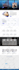 provide responsive wordpress website development