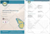 design business documents and flyers