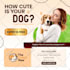 design social media ad creatives for facebook and google ads