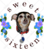 draw your dog and cat into cartoon portrait