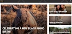 fix wordpress theme and plugin issues