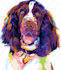 draw pop art of dog cat pet animal portrait