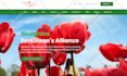 create website for health care, urgent care, clinic, hospital, doctor, dentist