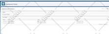 help with salesforce custom development based in the USA