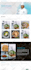 develop custom shopify theme bug fixes and customization