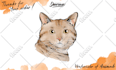draw a simple watercolor portrait of your pet