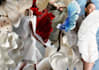 create mood boards, fashion research boards, concept boards, design portfolio