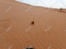 wish you a happy birthday in the sahara desert with a guitar