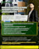 create stunning facebook ad creatives and instagram posts for social media