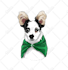 draw your pet into a cartoon vector simple in 24 hours