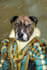 create a historical renaissance oil pet portrait of your pet