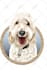 draw your dog and cat into cartoon portrait