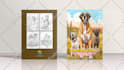 design kdp low content book, christmas, activity book for amazon kdp