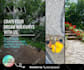 design attractive posts for your social media accounts