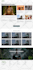 design clone build duplicate redesign wordpress website with gutenberg elementor