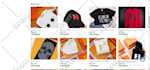 build and revamp 7 figure shopify dropshipping website