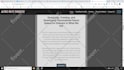 write SEO web content for you