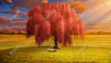 create anime, game, and visual novel background painting