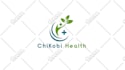 do modern business logo design and brand identity