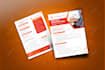 design a professional brochure or flyer