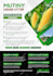 design an amazing business flyer, one pager, marketing material