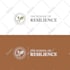design professional branding style guides