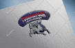 design catching logo for you need