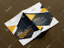 do professional brochure, bi fold, tri fold,and flyer design