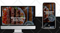 design and develop wordpress website, ecommerce website and stores