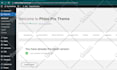 install and activate wordpress premium themes and plugins