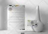 design business card, letterhead and stationery