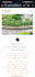 design, develop, clone or redesign wordpress website as elementor pro expert