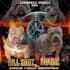 design premium dog stud, breeding, litter or kennel flyers