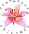 design professional watercolor hand made logo for you