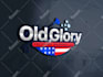 do professional pressure washing power washing and roof cleaning logo