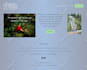 create squarespace website design or redesign squarespace