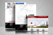 do wordpress website design and development or business website redesign