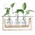 do realistic 3d product rendering and label mockup