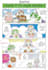 translate manga, doujinshi, and typeset it