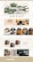 develop, clone, customize shopify ecommerce website
